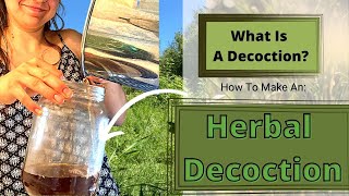 What Is A Decoction How To Make A Decoction [upl. by Omar]