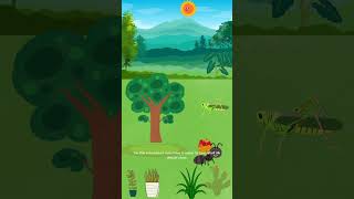 The Ant And The Grasshopper Story In English moralstories childrensstories [upl. by Roobbie]