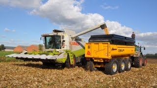 Loonwerk HAVA  Claas Lexion 570 amp 450  mais dorsen [upl. by Hermina]