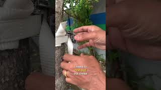 How to Unmount a TV from a Tree  Zebozap TV Mount Tutorial [upl. by Medarda568]