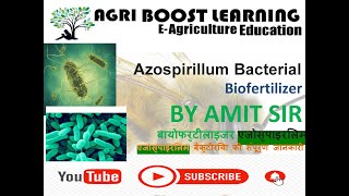 Azospirillum How to work  Agriculture important species  general introduction stricture [upl. by Atenaz495]