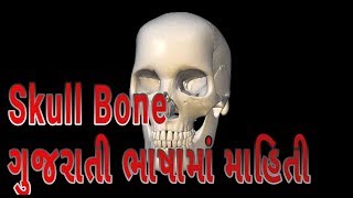 Skull bones In fully Gujarati launguage Part  1 llThe Fetal Skull l by Nursing Profile l [upl. by Inirt]