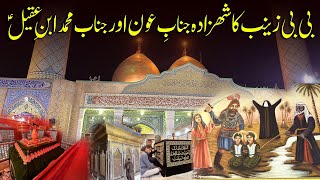 Janab e Aoun Shahzada e Bibi Zainab sa  Muhammad Ibn Aqeel as  Olad e Muslim Ki Ziyarat  Iraq [upl. by Gibbie]