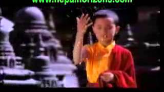 Dharma Dhoni Dr Subchu Rimpoche YouTube [upl. by Enimajneb]