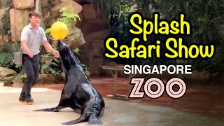 Splash Safari Show  Sea lion show Singapore Zoo [upl. by Sinclair]