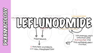 Leflunomide DMARD pharmacology  mechanism of action adverse effects and cholestyramine [upl. by Estrellita]