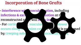 Bone Graft  BG  Incorporation [upl. by Esened]