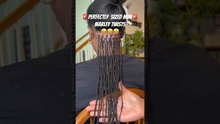 How to get perfectly sized hair for mini Marley twists 💕 hairtutorial minitwists [upl. by Ayoral450]