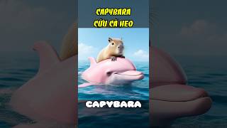 Capybara cứu cá heo hồng capybara cuoicungai cáheo animals [upl. by Kcireddor]