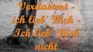 Matthias Reim  Verdammt ich lieb dich lyrics [upl. by Lhamaj]