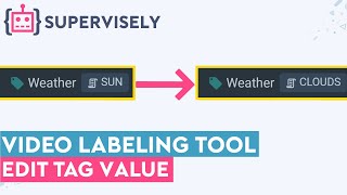 How to Edit Tag Value in Supervisely Video Labeling Tool [upl. by Roche]