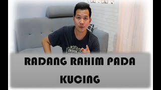 Radang Rahim pada Kucing [upl. by Naletak]