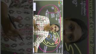 Respiration in Plants Class 11 Biology shorts [upl. by Marigolda]