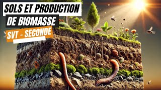 Sols et production de biomasse  SVT seconde [upl. by Cappello282]