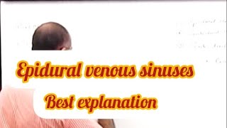 Epidural venous sinuses anatomy medical mbbs bds trending viralvideo [upl. by Colville62]