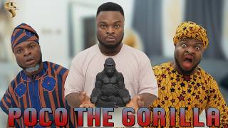 AFRICAN HOME POCO THE GORILLA [upl. by Enilhtak]