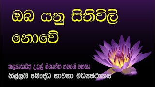 41 ඔබ යනු සිතුවිලි නොවේ  උපුටාගත් කෙටි දෙසුම්  Nilambe [upl. by Neural918]