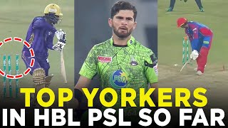 PSL 9  Top Yorkers in HBL PSL 9 so Far  M1Z2A [upl. by Dnomad99]