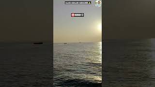 MORNING VIEW SEA FISHING BOAT video shortvideo viralvideos fishingboat [upl. by Ahilam]