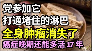 淋巴一旦堵住了，浑身都会长肿瘤！党参加它打通堵住的淋巴，全身肿瘤消失了，癌症晚期还能多活17年【本草养生大智慧】 [upl. by Marrissa]