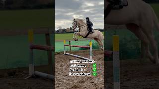 Training with Ace is always fun horse showjumping equestrian horselover horsegirl pony [upl. by Lenahc]