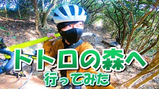 【ロードバイク】38 冬の糸島半島 立石山とトトロの森 [upl. by Enaitsirk]