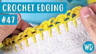 Crochet Edging for dishcloth 47 In english  Wagner Reis [upl. by Iznek]