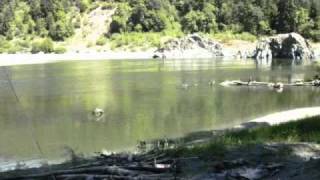 Klamath River Steelhead Adventure [upl. by Raffo660]