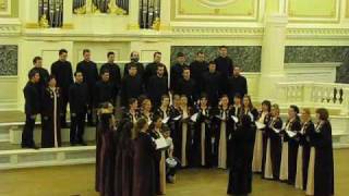 Choir quotBrankoquot Niš  Gusta mi magla padnala [upl. by Ailecnarf]