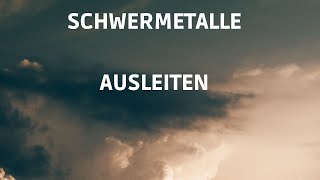 Schwermetalle ausleiten [upl. by Verlee98]