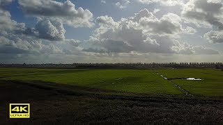 4k Video  Nature of the Dutch polders [upl. by Aniral]