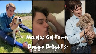 Nicholas Galitzine Doggo Delights ❤️🐶 [upl. by Japeth630]