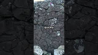 Igneous vs Metamorphic Rocks Whats the Difference [upl. by Ecirual]