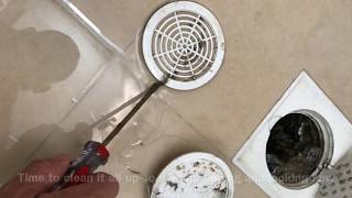 DIY Unclog Shower Drain With Standing Water [upl. by Aloin903]