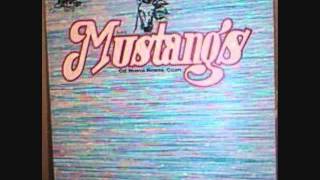 LOS MUSTANGS DE NUEVA ROSITA COAHUILA  PACHUCO  VINYL LPs [upl. by Fish]