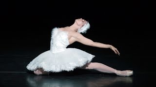 The Dying Swan – Natalia Osipova The Royal Ballet [upl. by Htebazie401]