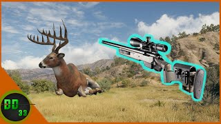 The Truth About The 22250 Vs The 223 Rifle Call Of The Wild [upl. by Dorcy957]