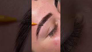 quotCreate Realistic Eyebrows Professional Dyeing amp Styling Techniques for Allquot [upl. by Annoynek]