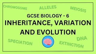 AQA GCSE Biology in 10 Minutes  Topic 6  Inheritance Variation and Evolution [upl. by Nonah693]