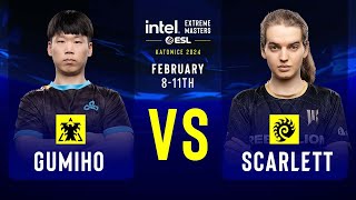 GuMiho vs Scarlett  IEM SC2 Katowice 2024  Group Stage [upl. by Yerdna]