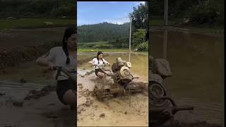 Chinese People Cultivate Paddy In A Unique Way [upl. by Eelrahs]