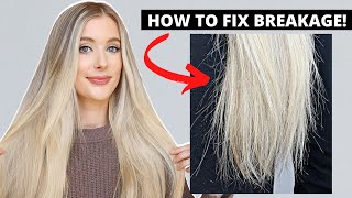 How to Fix Hair Breakage Damaged Hair to Healthy Hair Care Tips [upl. by Fianna]