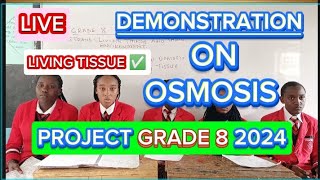 How To Demonstrate Osmosis In Living TissuesScience Grade 8 Project 2024 [upl. by Azrim298]