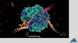 BIOL201 Ch64  ATP Adenosine TriPhosphate [upl. by Ozan241]