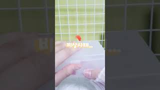 ☆친척에게 줄 선물 포장하기 소리 높여 듣기 떡상기원 좋아요 아이브 클락션 친척 포장 [upl. by Ehcram]