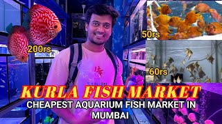 Kurla fish market  cheapest aquarium fish market in Mumbai  1k mumbai aquariumfish fish [upl. by Roderick598]