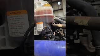 2022 freightliner cascadia coolant level sensor failed [upl. by Horick]