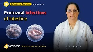 Protozoal Infections of Intestine  Clinical Medicine Video  VLearning  sqadiacom [upl. by Anastas]