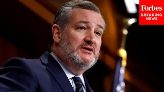 A Steaming Pile Of Crap Ted Cruz Says Bipartisan Border Bill Codifies Joe Bidens Open Borders [upl. by Eiromem766]