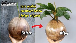 CARA MEMBUAT BONSAI KELAPA ORIGINAL DENGAN MUDAH ⁉️ How To Make Original Coconut Bonsai With Easy [upl. by Nidnal790]